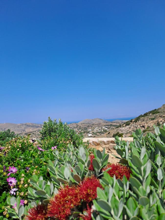 Villa Adeiata Adiata Extérieur photo